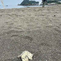 画像319