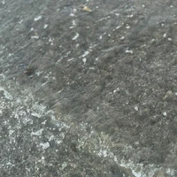 画像424