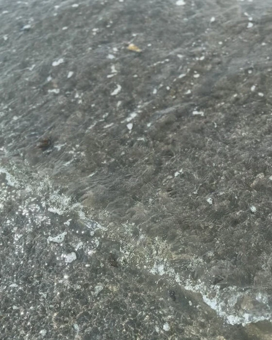 画像424