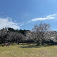 画像454