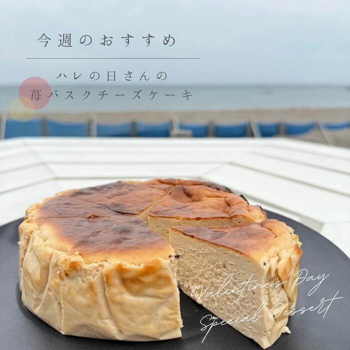 画像484