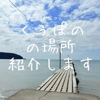 画像517