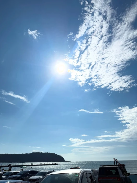 画像567