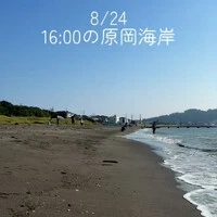 画像578