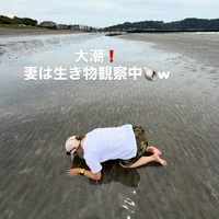 画像874