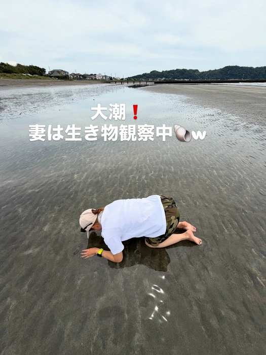 画像874